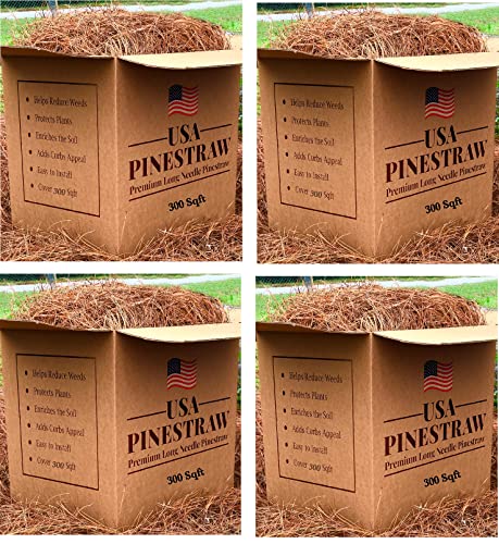 USA PINESTRAW Premium Pine Needle Mulch 300 Sqft Set