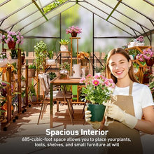 8x10 FT Greenhouse with Hygrometer, Windproof Warm Plant Green Houses