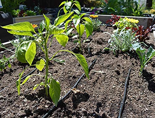 (5 Pack) Garden Bed Irrigation Kit - Small