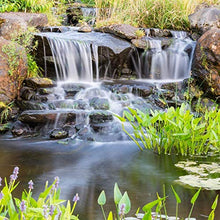 3/4 HP Floating Pond Fountain 9 Spray Patterns 100 ft Quick Disconnect Cord
