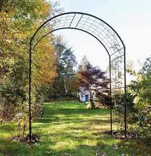 Monet II Arbor