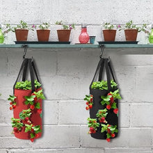 Multi-Port Grow Bags 13-Hole Felt Hanging Planting Bag Outdoor Reusable Thickene Garden Plant Pot for Strawberry Taro Peanut (Color : A) (C)