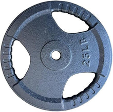 French Fitness Standard Cast Iron 1" Weight Plate Set 350 lbs