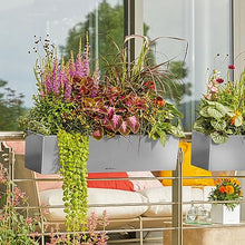 Lechuza BALCONERA Steel 80 AIS Satin Pearl Grey