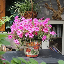 Creative Color Process Pattern Plant Pot Hand-Painted Large Ceramics Outdoor Flower Pot Villa Outdoor Garden Decor Plant Pot Courtyard Flowerpot Decor Landscape Bonsai External Planters ( 22CM)