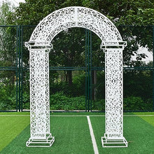 MELPHI Garden Arch Arbor Trellis for Climbing Plants Outdoor, Yard, Garden, Climbing Plants with Decorative,Outdoor Wedding Arch