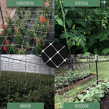 DL Wholesale VineLine Trellis Netting Garden Plant Plastic Trellis Net Roll for Climbing Plants Grow Support Fruits Vegetables, Green, 6.5 ft x 3300'