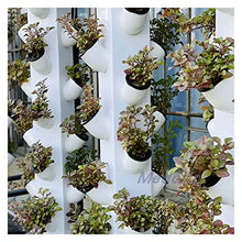 GeRRiT Hydroponics Growing System Indoors Smart Hydroponics System with Light Vertical Hydroponic Tower Gardening Equipment Planters,Hydroponic Growing Kits & Systems
