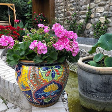 FAFACAI Rural Outdoor Courtyard Flowerpot Hand-Painted Colorful Classical Planter Ceramic Plant Pot Large Flower Pot European Flowerpot Garden Balcony Decoration Bonsai Pot (51 * 39cm)