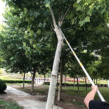 Telescopic Pole Saw, Extendable Telescoping Landscaping Pole Saw Used for Pruning and Trimming Branches and Leaves High-altitude Fruit Tree Pruner Pole Branch Saw (Color : 5m)