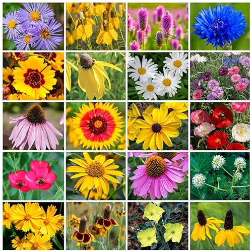 Park Seed Wildflower Garden Seeds Mixture Midwest Regional Mix 50 lbs