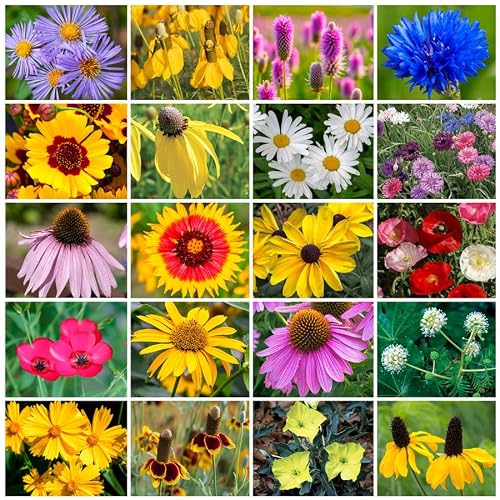 Park Seed Grow Your Own Vibrant Annual and Perennial Wildflower Garden Seeds Mixture, Easy to Grow Varieties for Pollinators and Spring Gardens - Midwest Regional Mix, 10 lbs