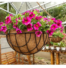 Metal Hanging Planter Basket Coir Liner Chain Round Wire Plant Holder Flower Pots Hanger Garden Decoration for Railings Gardens