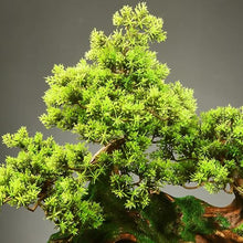 YXIANG56Q Fake Plants Floor Artificial Bonsai Tree Hotel Clubhouse Entrance Decoration Fake Plants Potted Plants Bonsai Tree