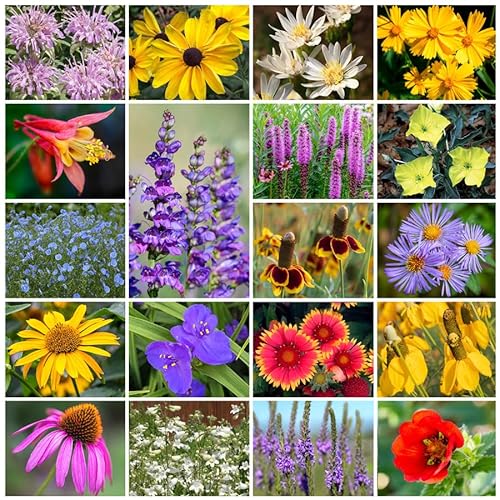 Park Seed Native Perennial Mix Wildflower Garden Seeds 50 lbs