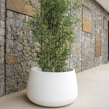 Moovere Large Round White Planter 31.1 x 18.3 in, Outdoor Indoor Planter Pot for Garden, Patio and Pool Area – Camelia 80