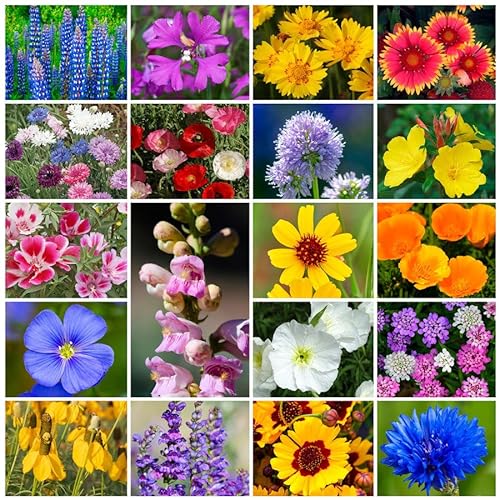 Park Seed Wildflower Garden Seeds Mixture for Pollinators - Western Regional Mix, 50 lbs