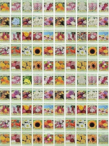 Set of 1000 Assorted Valley Green Flower Seed Packets! Flower Seeds in Bulk - 20+ Varieties Available! (1000)