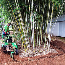 Bamboo Shield Bamboo Root Barrier/Water Barrier 200ft x 24in x 60mil Black