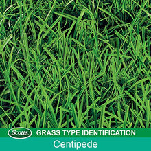 Scotts Turf Builder Grass Seed Centipede Grass Seed & Mulch 5 lbs. (6-Pack)