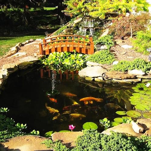 HALF OFF PONDS Savio Signature 4000 Water Garden and Pond Kit with Liner Black