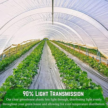 Farm Plastic Supply 4 Year Clear 6 Mil Greenhouse Plastic Sheeting Clear 40' x 100'
