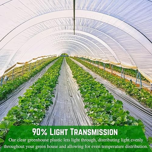 Farm Plastic Supply 4 Year Clear 6 Mil Greenhouse Plastic Sheeting 50' x 100' Clear