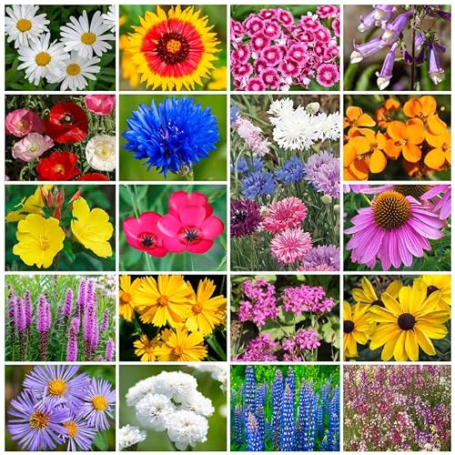 Park Seed Grow Your Own Vibrant Annual and Perennial Wildflower Garden Seeds Mixture, Easy to Grow Varieties for Pollinators and Spring Gardens - Northeast Regional Mix, 10 lbs